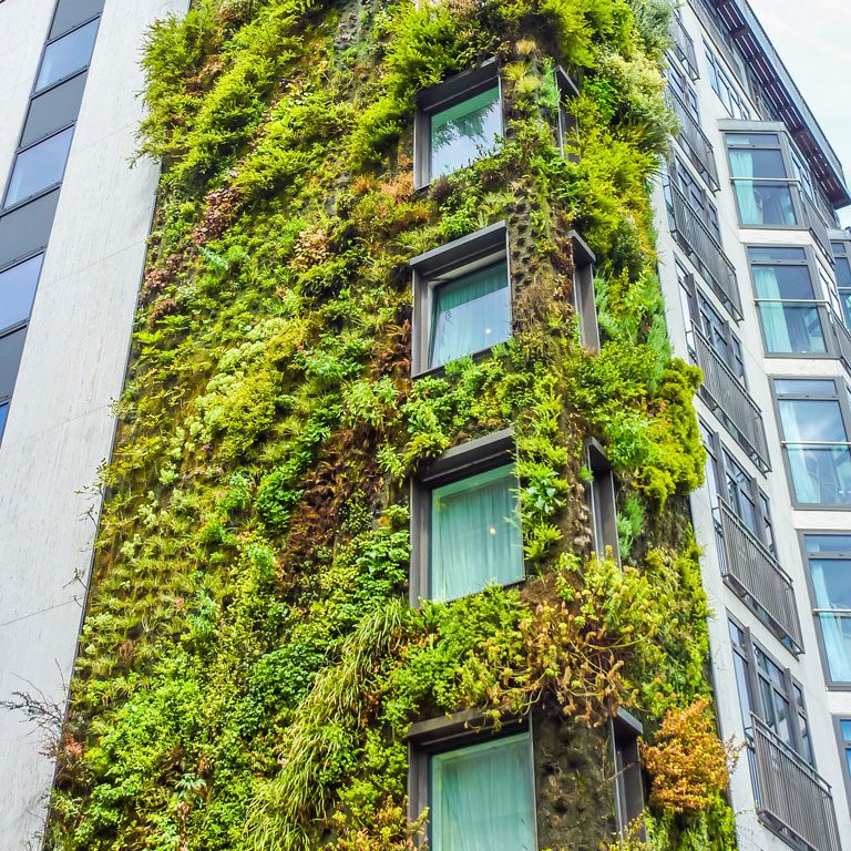 La green attitude